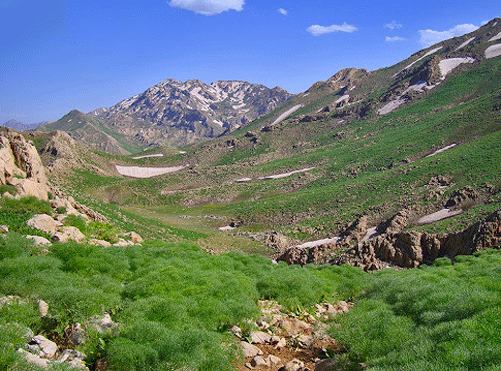 ارتفاعات شاهو پاوه و کرمانشاه