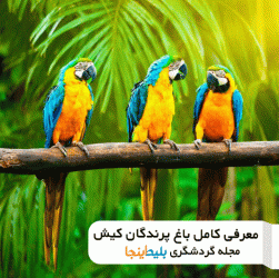 باغ پرندگان کیش - تور کیش - جاهای دیدنی کیش - قیمت بلیط باغ پرندگان کیش