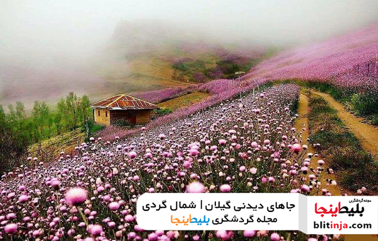 معرفی جاهای دیدنی گرگان