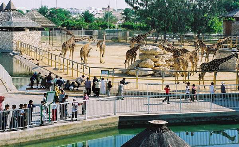 باغ وحش الماهای قطر - جاهای دیدنی قطر - مراکز تفریحی قطر