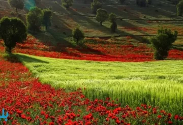 شهرهای مناسب برای سفرهای تابستانی در ایران