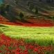 شهرهای مناسب برای سفرهای تابستانی در ایران