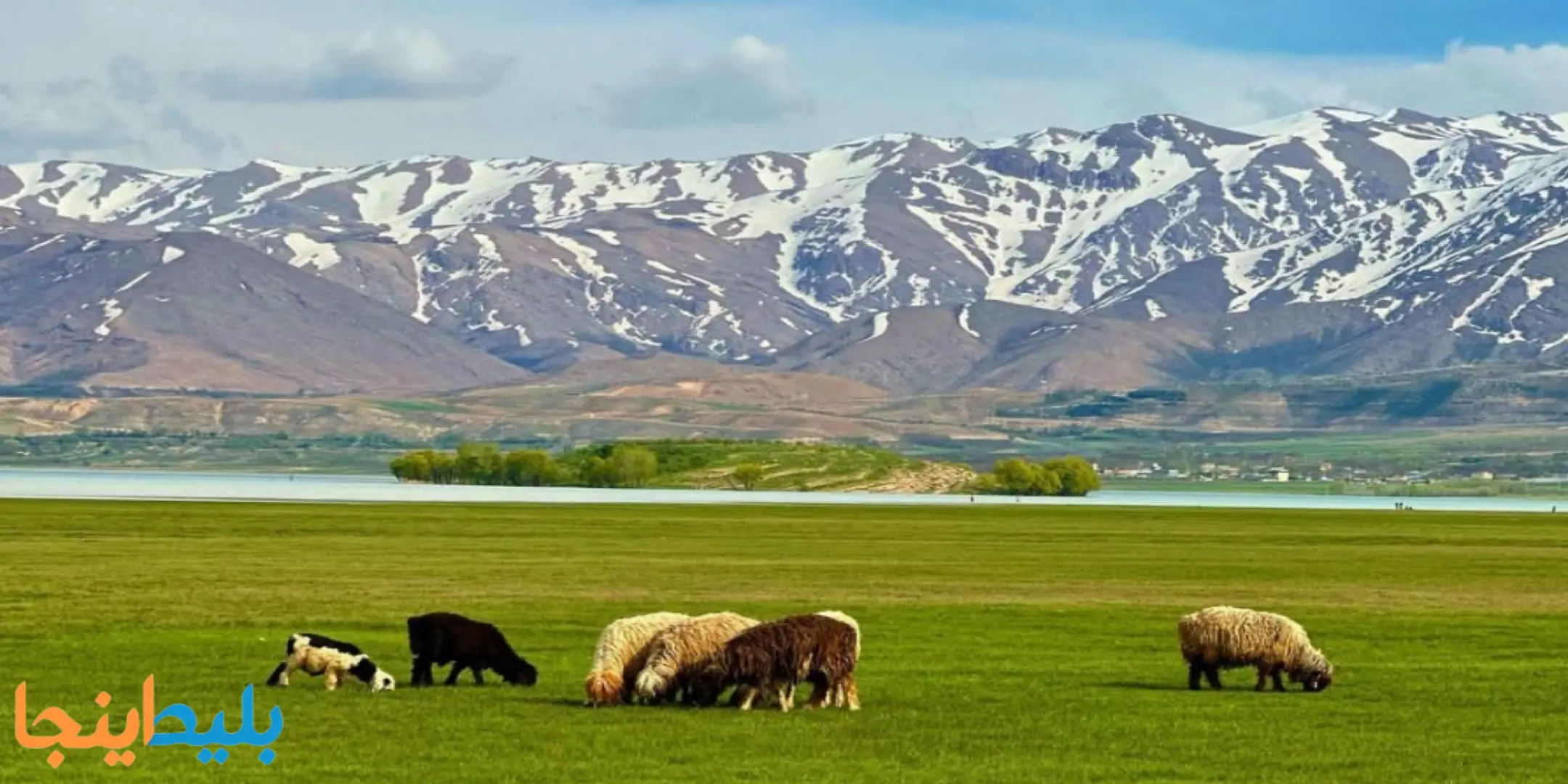 عشایر تالاب 