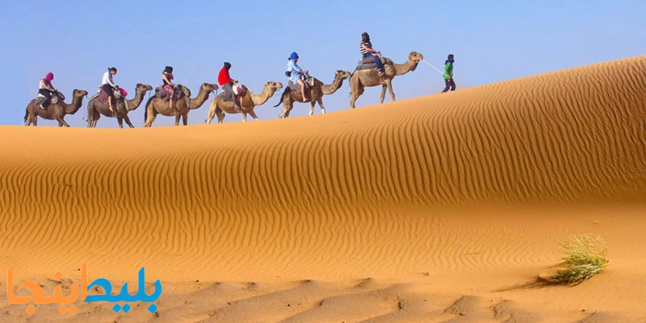 شتر سواری در کویر مصر