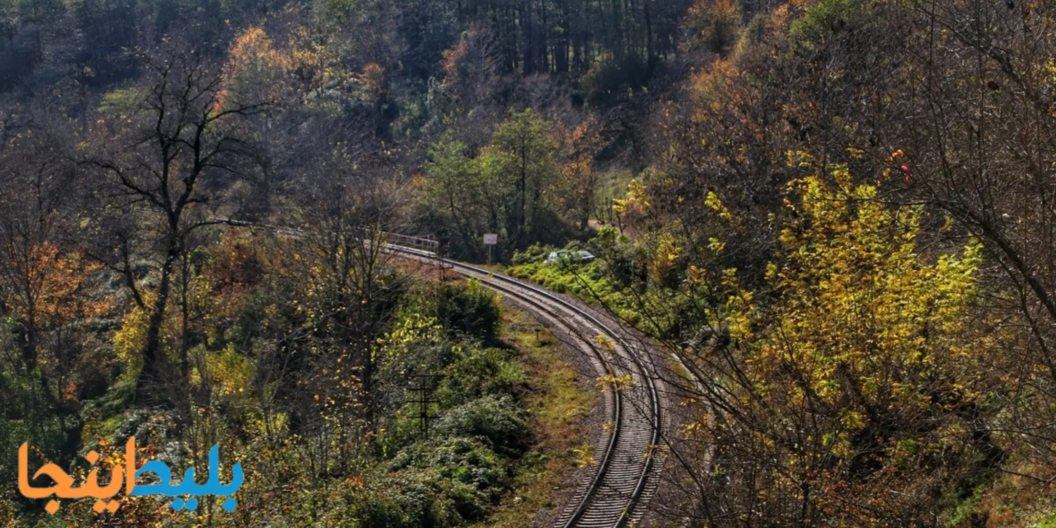 راه آهن در جنگل دیدنی شیرگاه